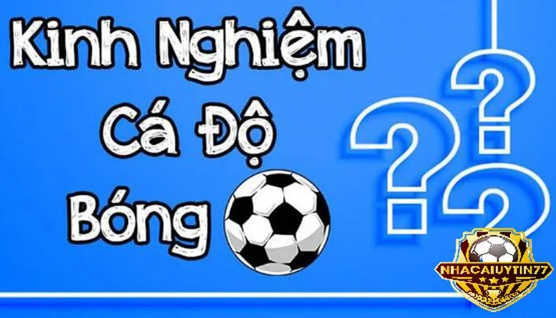 Chia sẻ kinh nghiệm cá độ bóng đá online siêu hay