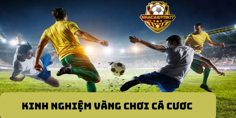 Chiến thuật chơi cá cược ăn chắc mặc bền cho newbie tham khảo