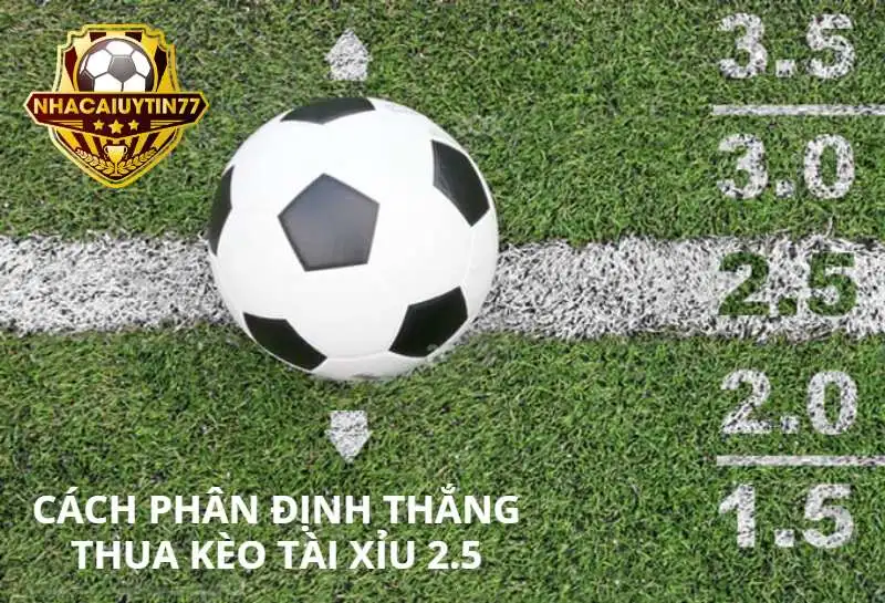 Cách phân định thắng thua ở kèo tài xỉu 2.5 bet thủ nên biết