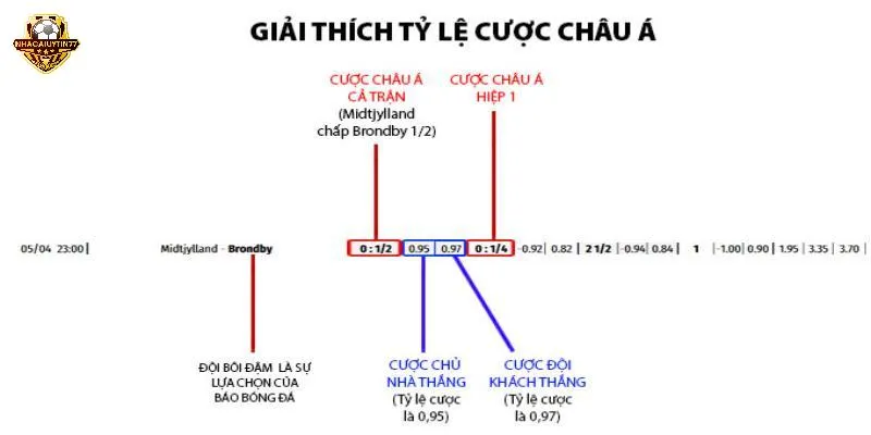 Cách tính tiền cược khi thắng thua