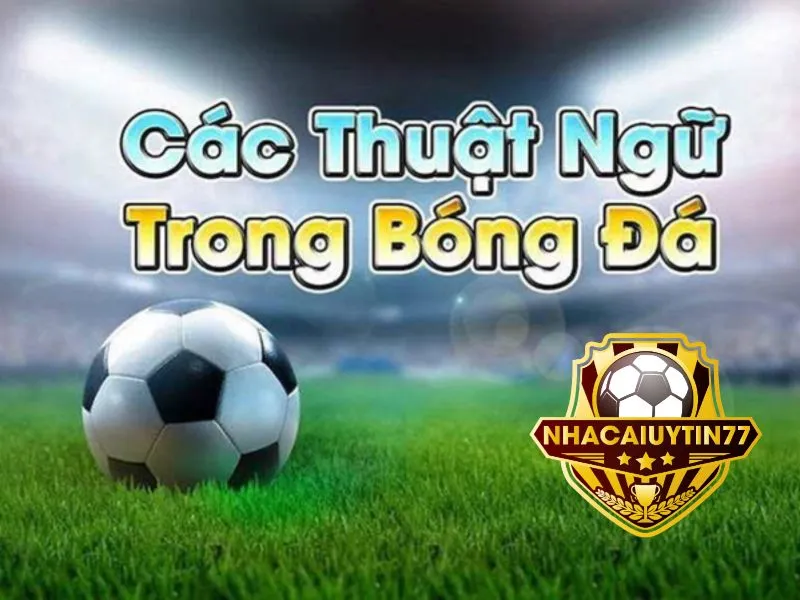 Những thuật ngữ cá độ bóng đá cược thủ nên biết