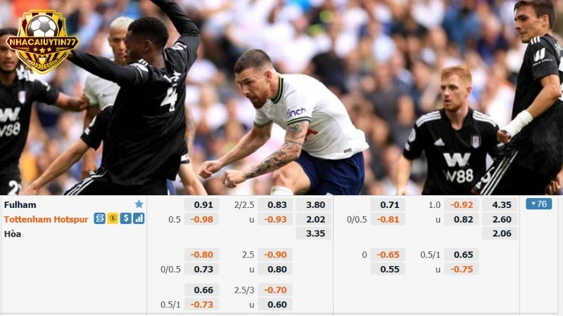 Ví dụ bạn đặt cửa tài cho trận Fulham vs Tottenham